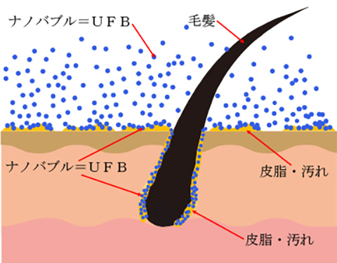 ナノバブルの皮膚面での説明図